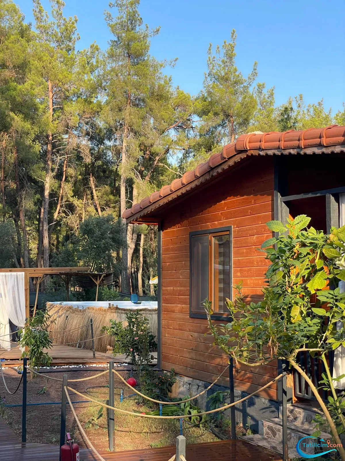 tatilcim.com Eylül Pansiyon Olimpos